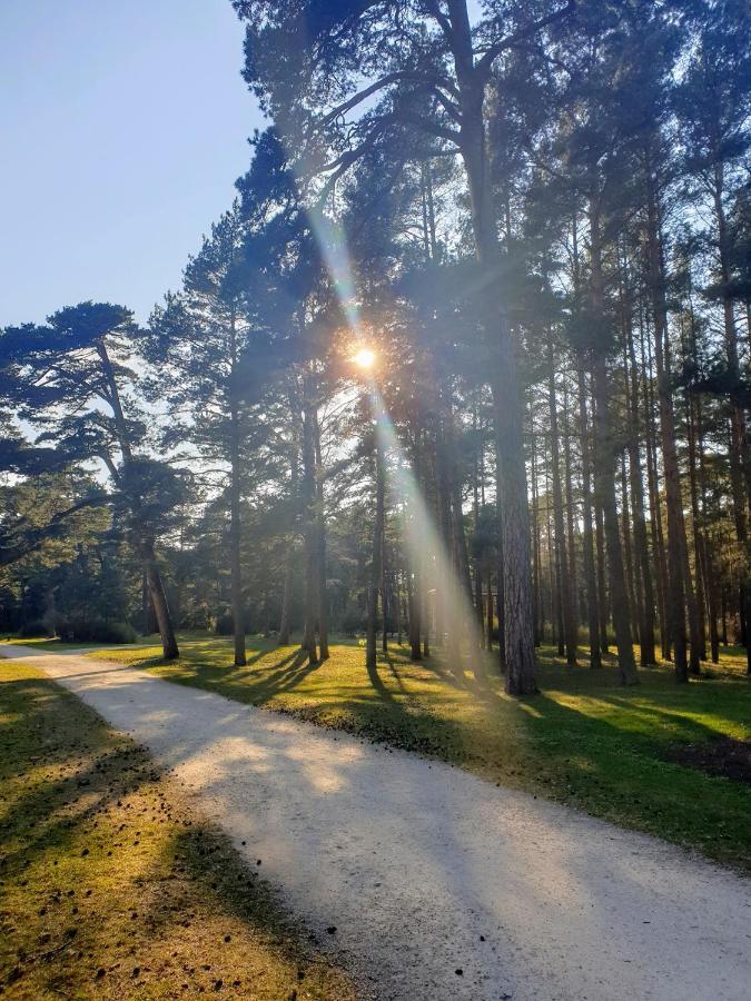 Palanga Apartments Near Baltic Sea ภายนอก รูปภาพ